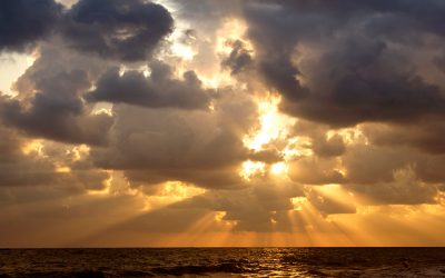 In The Beginning God Created