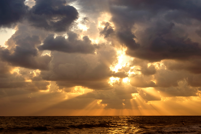 In The Beginning God Created